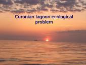 Curonian lagoon ecological  problem
