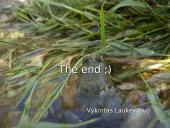 Curonian lagoon ecological  problem 11 puslapis