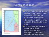 Curonian lagoon ecological  problem 3 puslapis