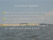 Curonian lagoon ecological  problem 4 puslapis