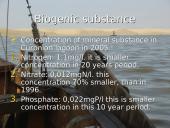 Curonian lagoon ecological  problem 8 puslapis