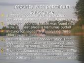 Curonian lagoon ecological  problem 9 puslapis