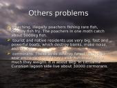 Curonian lagoon ecological  problem 10 puslapis