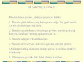 Dalykinė korespondencija 13 puslapis