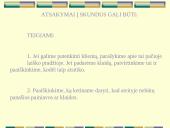 Dalykinė korespondencija 16 puslapis