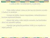 Dalykinė korespondencija 19 puslapis