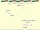 Dalykinė korespondencija 5 puslapis