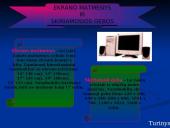 Elektromagnetinė spinduliuote ir darbas kompiuteriu 8 puslapis