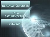 Darbuotojų draudimas nuo nelaimingų atsitikimų 13 puslapis