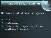 Darbuotojų draudimas nuo nelaimingų atsitikimų 3 puslapis