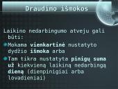 Darbuotojų draudimas nuo nelaimingų atsitikimų 4 puslapis