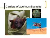 Deadly contact 4 puslapis