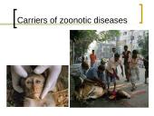 Deadly contact 5 puslapis