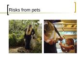 Deadly contact 9 puslapis