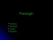 Dėmesys ir suvokimas įvairiose gyvenimo srityse 17 puslapis