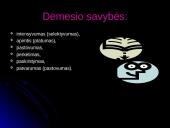 Dėmesys ir suvokimas įvairiose gyvenimo srityse 4 puslapis