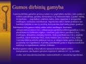 Dirbtinis kaučiukas 13 puslapis