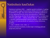 Dirbtinis kaučiukas 3 puslapis