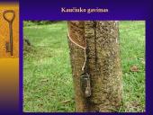 Dirbtinis kaučiukas 4 puslapis