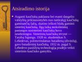 Dirbtinis kaučiukas 5 puslapis