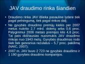 Draudimo rinka Amerikoje: tendencijos ir perspektyvos 16 puslapis
