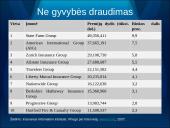 Draudimo rinka Amerikoje: tendencijos ir perspektyvos 19 puslapis