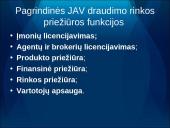 Draudimo rinka Amerikoje: tendencijos ir perspektyvos 6 puslapis