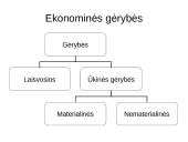 Ekonomika glaustai 12 puslapis