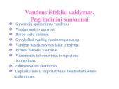 Ekonominiai vandens išteklių naudojimo aspektai 12 puslapis