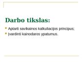 Gaminių kainų nustatymas 2 puslapis