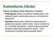 Gaminių kainų nustatymas 12 puslapis