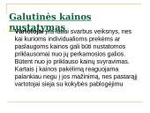 Gaminių kainų nustatymas 20 puslapis