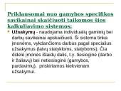 Gaminių kainų nustatymas 7 puslapis