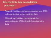 Gamtinės dujos 12 puslapis