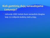 Gamtinės dujos 13 puslapis