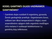 Gamtinės dujos 3 puslapis