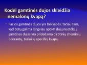 Gamtinės dujos 5 puslapis