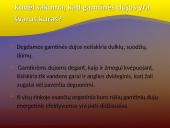 Gamtinės dujos 8 puslapis