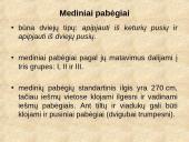 Geležinkelių keliai 11 puslapis