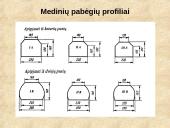 Geležinkelių keliai 12 puslapis