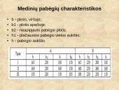 Geležinkelių keliai 13 puslapis