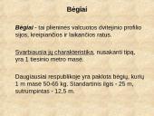 Geležinkelių keliai 9 puslapis