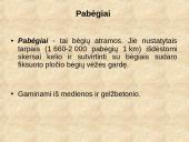 Geležinkelių keliai 10 puslapis