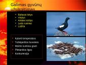 Globalinio atšilimo keliama grėsmė 18 puslapis