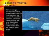 Globalinio atšilimo keliama grėsmė 19 puslapis