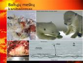 Globalinio atšilimo keliama grėsmė 20 puslapis