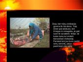 Globalinio atšilimo keliama grėsmė 3 puslapis