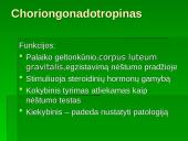 Hormoninė diagnostika 2 puslapis