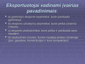 Įėjimo į naujas rinkas modeliai 4 puslapis