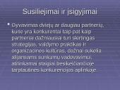 Įėjimo į naujas rinkas modeliai 10 puslapis